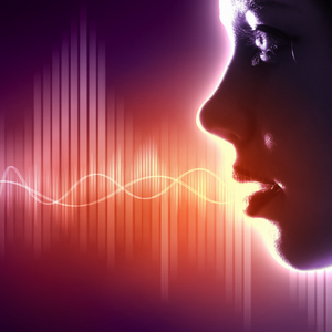 Libsyn Amplification image